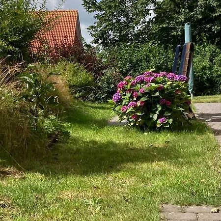 Ferienhaus Zum Eulennest