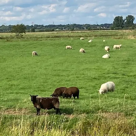 Zum Eulennest Ferienhaus Rantrum