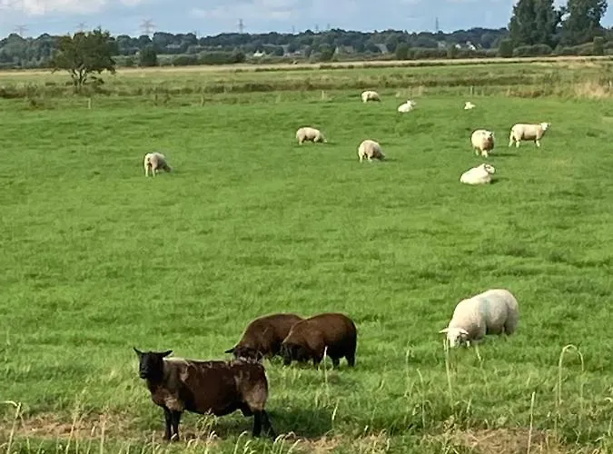 Zum Eulennest 別荘 Rantrum